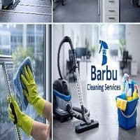 Barbu Cleaning Services 