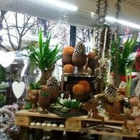 Blumengeschäft Ulrich Menke