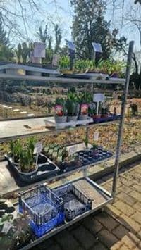 Blumenhaus Südfriedhof