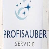 ProfiSauber Service