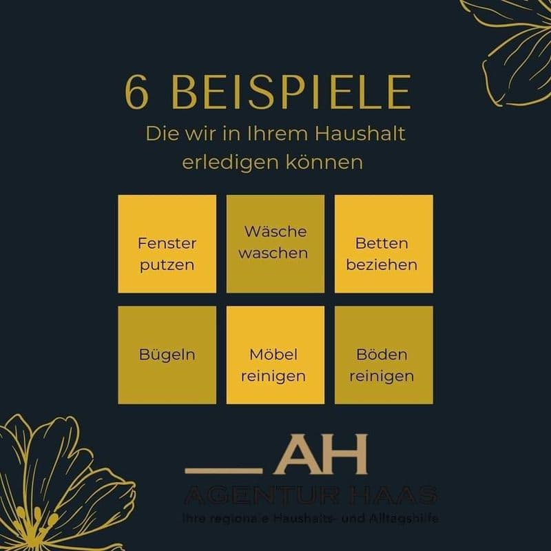 agentur-haas-ihre-regionale-haushaltshilfe-und-alltagshilfe-.jpeg