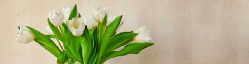 user-upload/business/work-media/0dc63b3f122b421e9e763beb05069d3c.jpeg