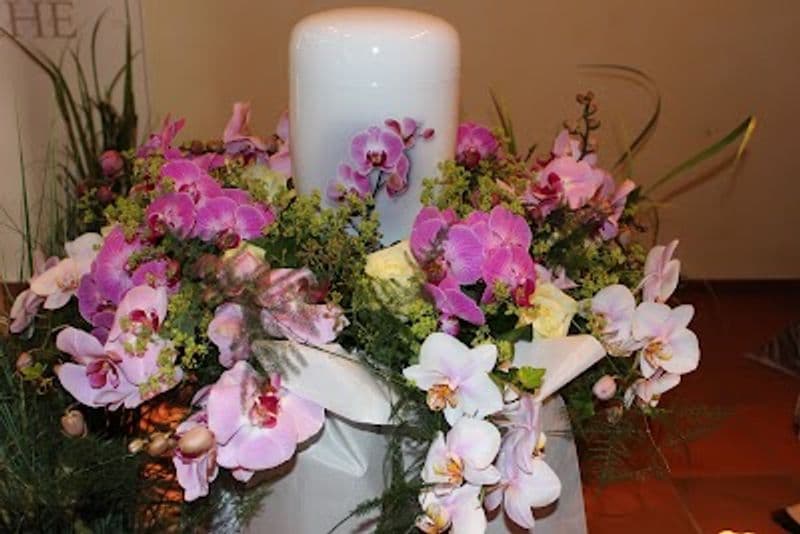 user-upload/business/work-media/1c3f1f2f36fe4a72b19e87fb403ba0f6.jpeg