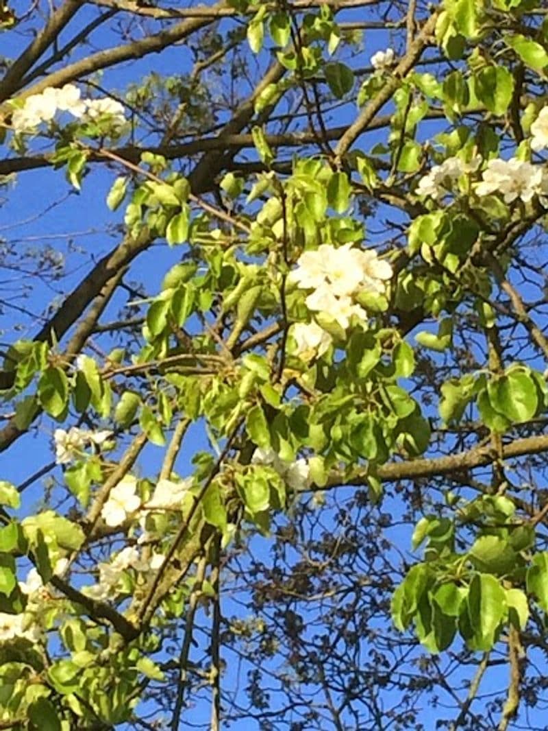 user-upload/business/work-media/2b14673d4f7f4798bbd1e1c0c60f09d1.jpeg
