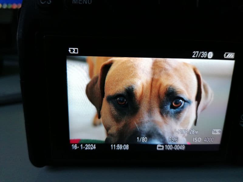 user-upload/business/work-media/378e277da4704a2f91bde42c37169376.jpeg