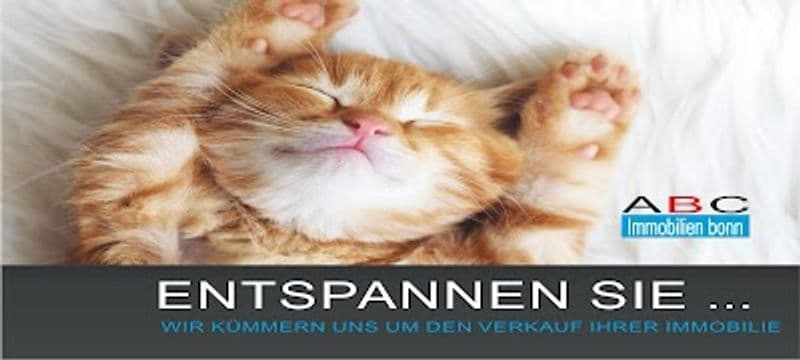 user-upload/business/work-media/4053525c4b4f4d37a74d0b0a19cc3c76.jpeg