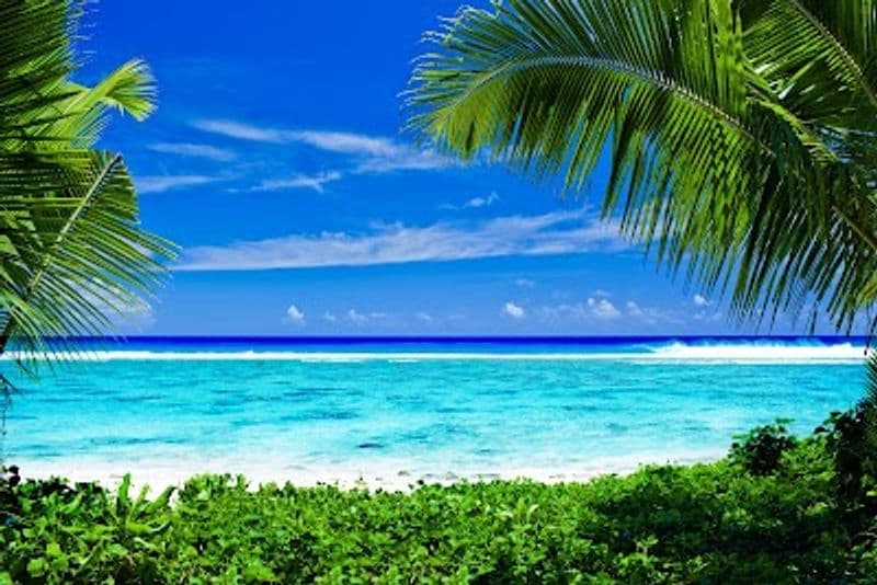 user-upload/business/work-media/58959ea9458641758da1cc0ba99148ce.jpeg