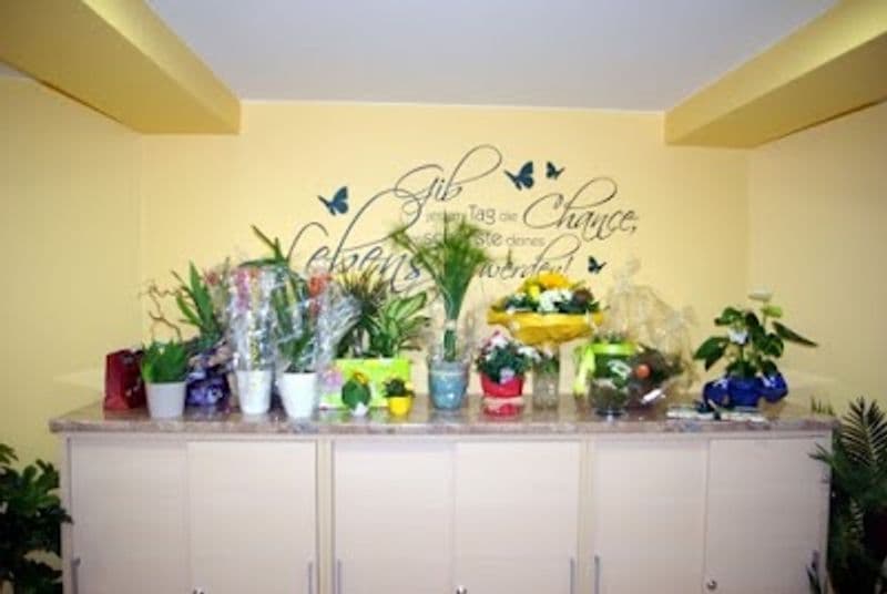 user-upload/business/work-media/683789cdffe7490c824e71725057136e.jpeg