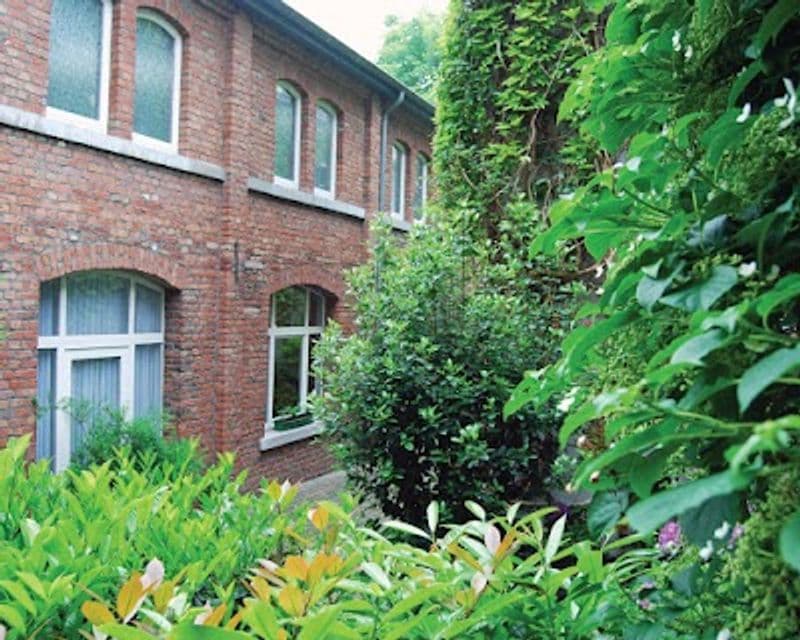 user-upload/business/work-media/6e44ab52c2eb47dcae388351365abf78.jpeg