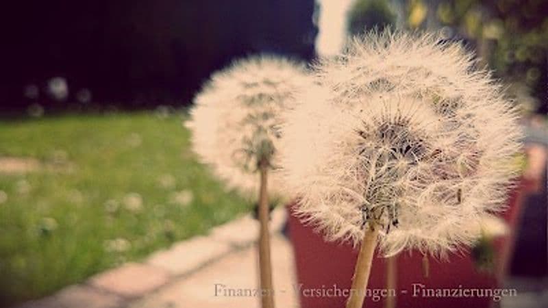 user-upload/business/work-media/7182b63feb8d4063abca27f73daf8b1b.jpeg