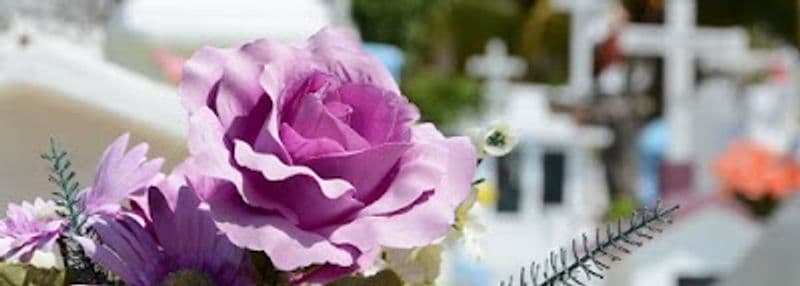 user-upload/business/work-media/75462e2f66144c57b552dadb0d28cc19.jpeg