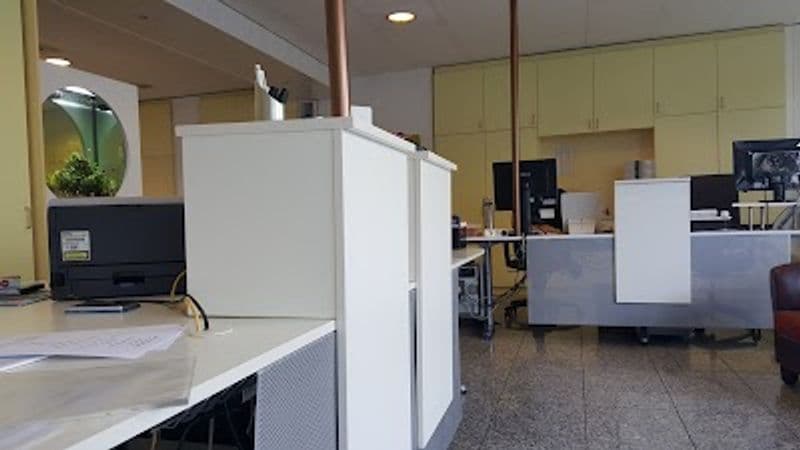 user-upload/business/work-media/81f06dd3a6f44bf0952fb64cfa43c40f.jpeg
