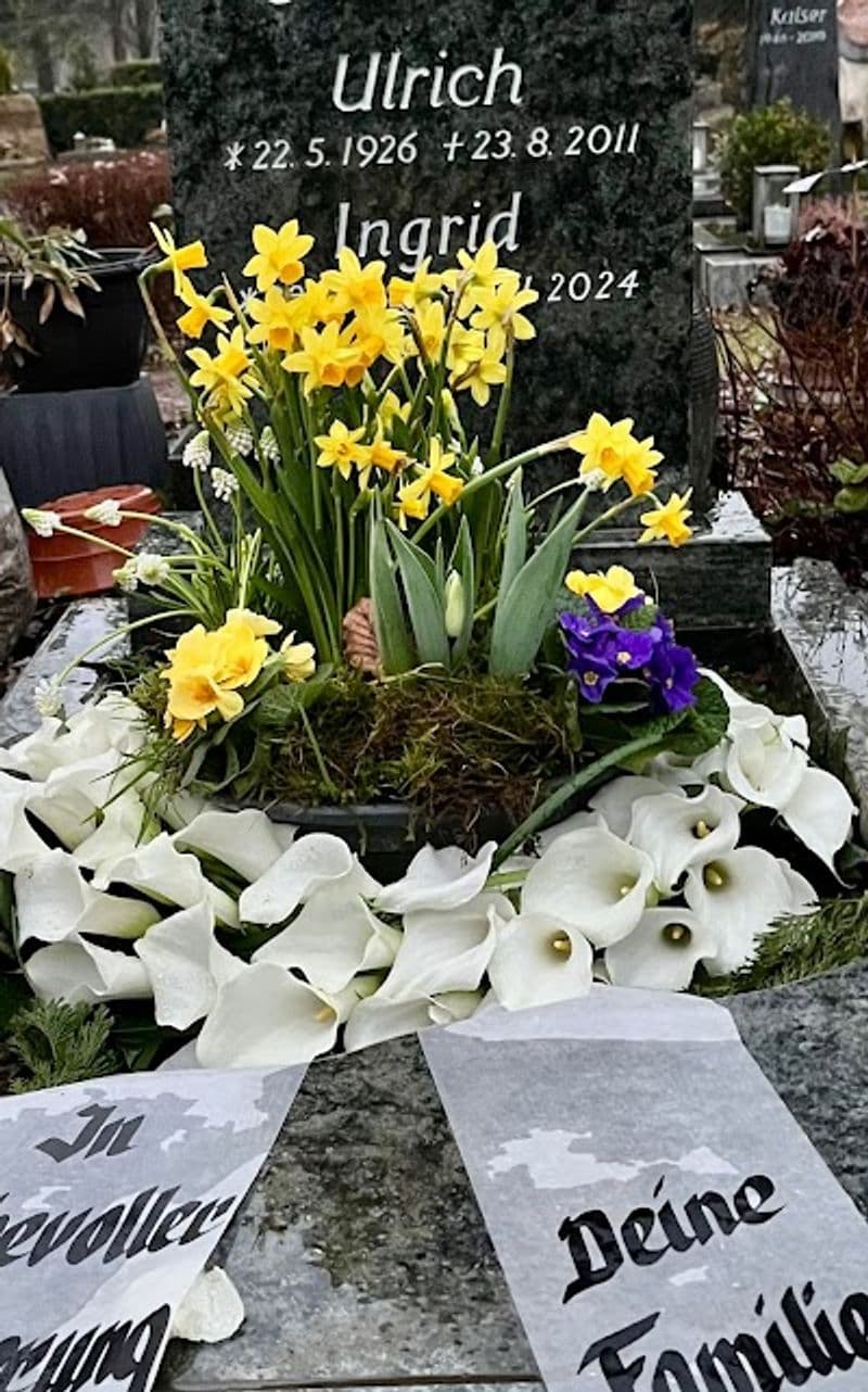 user-upload/business/work-media/ad79a46352ef48e08fbc8c27919c74ac.jpeg