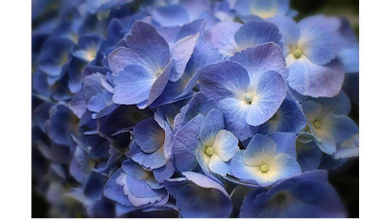 user-upload/business/work-media/c823c5aaf32d4da28deea93cca3b8727.jpeg