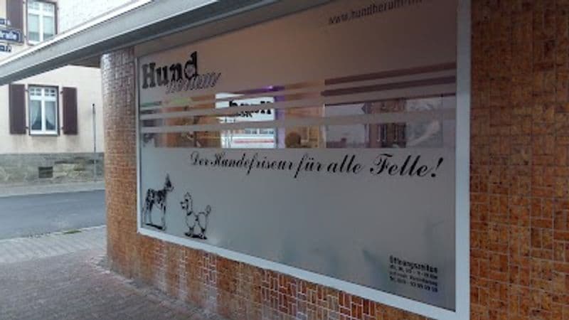 user-upload/business/work-media/edd28cfba9984983a4554112464147fa.jpeg