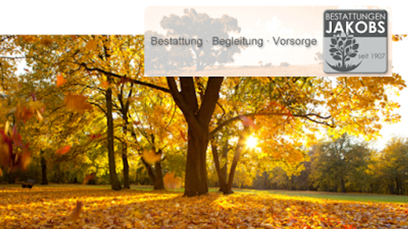 user-upload/business/work-media/f4b57e93f689484f930aab081a02f9cd.jpeg