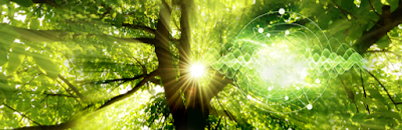 user-upload/business/work-media/f6a08db5e6ad4d248748b0908c464324.jpeg
