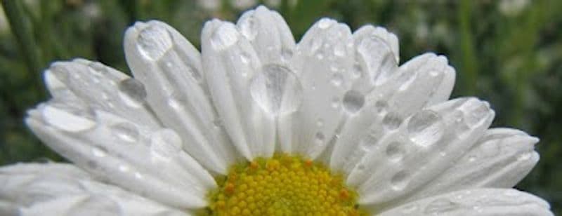 user-upload/business/work-media/f96f7d7520ee4b479a9724b671e38475.jpeg