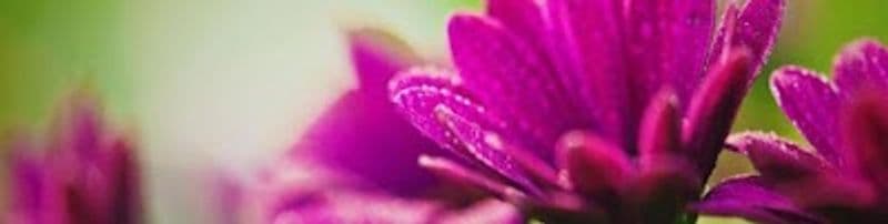 user-upload/business/work-media/f97bb0278e8043b3a38b058bda1a7f6e.jpeg