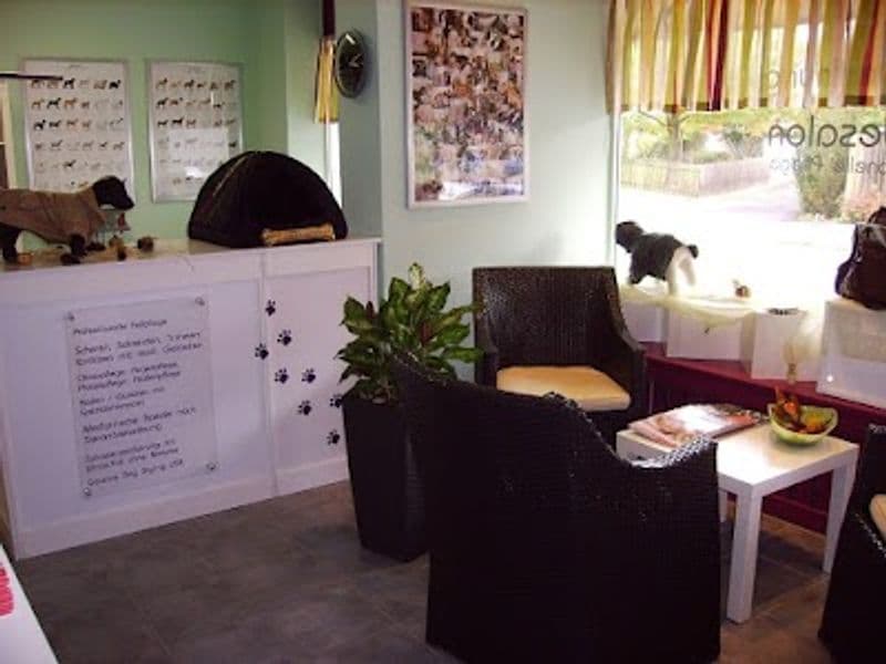 user-upload/business/work-media/fa3f60f425c8491687c6c636fef40710.jpeg