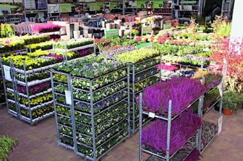 user-upload/business/work-media/ff785195bad940fba7a80b5717cb7909.jpeg