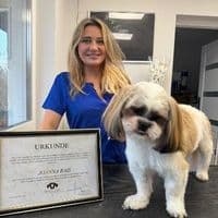 Royal Pfoten Salon / Hundesalon Mainz Hundefriseur Mainz / Hundesalon Wiesbaden / Hundesalon Ingelheim / Hundesalon Bingen