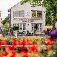 The Blueberry & Café Central