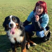 Hundepsychologin - Erlangen
