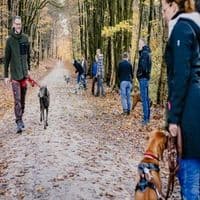 Hundeschule Daniel Paira