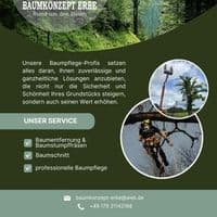Baumkonzept Erbe