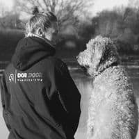 Dog Door Hundetraining