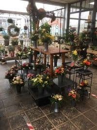 Pflanzen- und Floristikmarkt Hinz