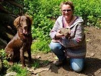 Rheinische Hundeschule