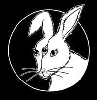 :Rabbit :Hole