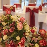 DekoFest - Event & Hochzeitsdekoration