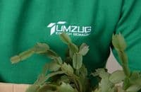 Umzug Einfach Gemacht