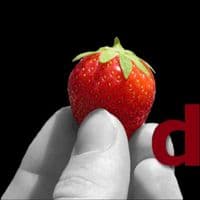 ditho internet & media
