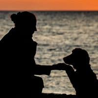 Hundeschule Hundezentrum-Waltrop