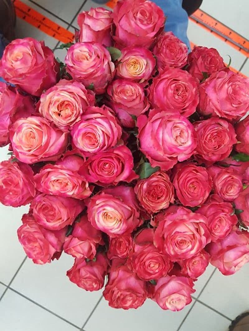 user-upload/business/work-media/4e1d8b47455b4c0487838de528bc9e0e.jpeg