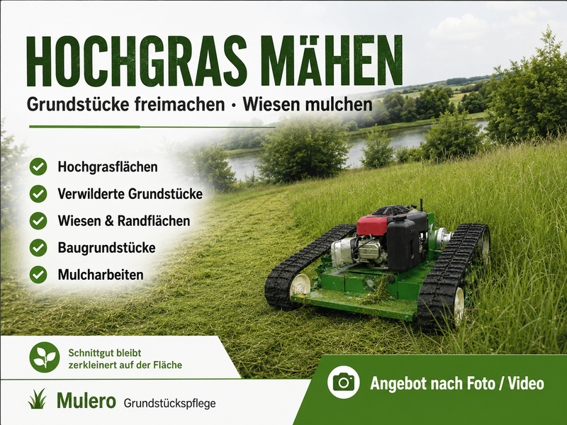 user-upload/business/work-media/8a9a6c2d359645da8265ef4e9931d2b7.jpeg
