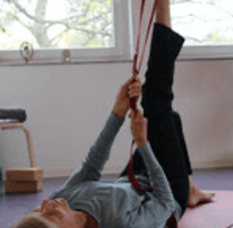 user-upload/business/work-media/8rxqb2iiug3xk4durgvme_alina_neumann kleina yoga.png