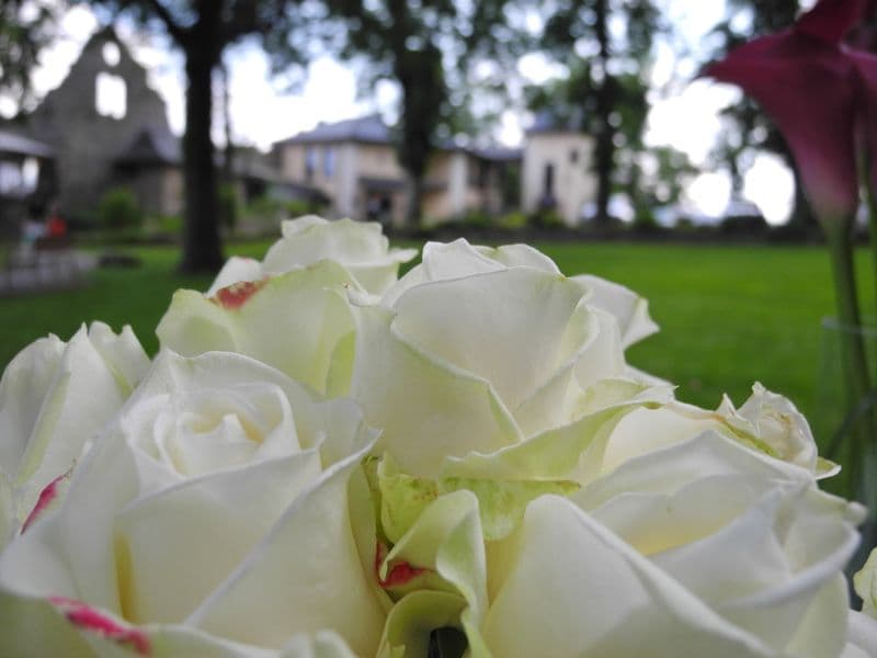 user-upload/business/work-media/e9426a98ef654be2a6123750aa89c3cc.jpeg