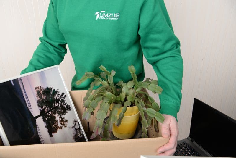 user-upload/business/work-media/kmywvugercm9suzdy9ftr_umzug-einfach-gemacht.jpeg