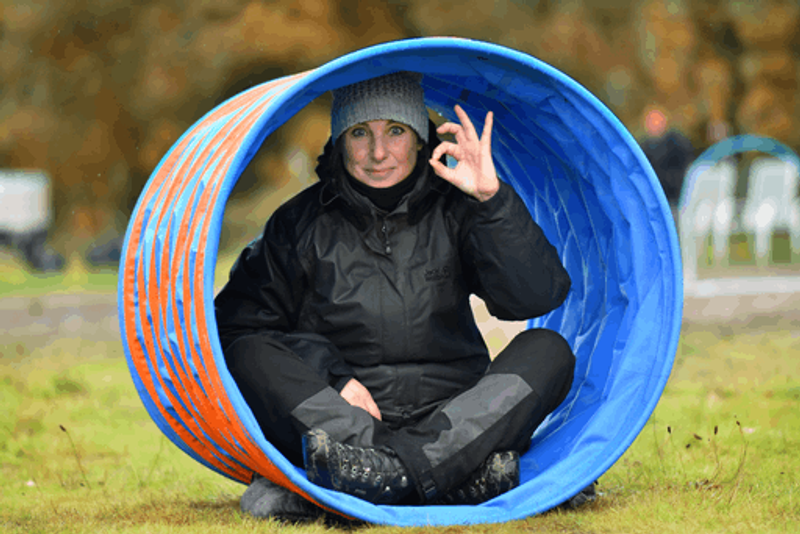 user-upload/business/work-media/prnimwjrf0m1z8137qm9qk_hundeschule-findeklee.png