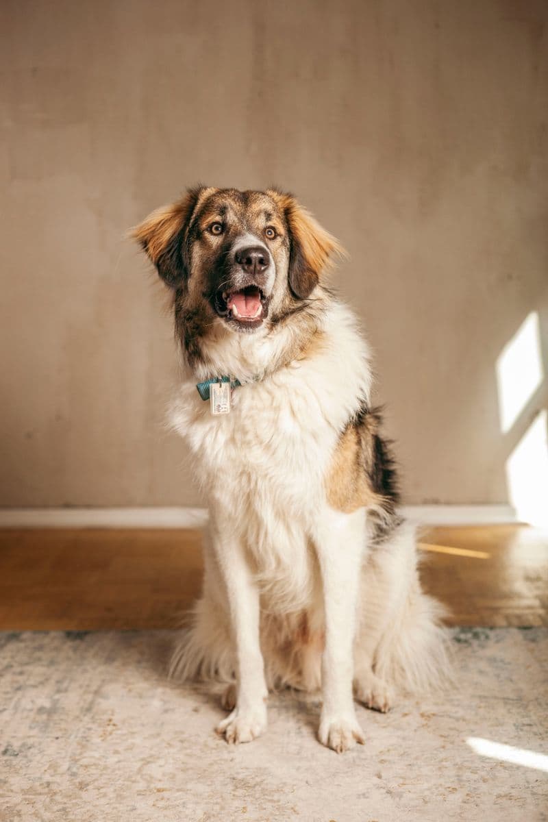 user-upload/business/work-media/qzh1nwablhgwz9xwfxvw_owls_& larks werbeagentur.jpeg