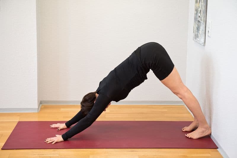 user-upload/business/work-media/xjhlwxsszhe69b935sx5a_yoga-haus_eva reimers.jpeg