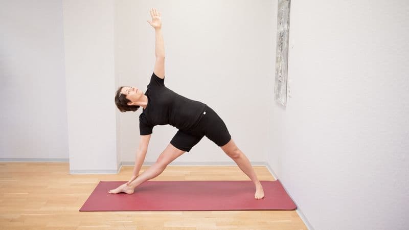 user-upload/business/work-media/ycp5p6dv78rdbsnxinik1b_yoga-haus_eva reimers.jpeg