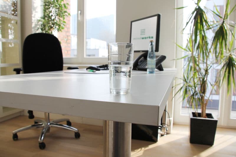 user-upload/business/work-media/zxlybk6l1zv2ggrwawv4_mindworks-gmbh.jpeg